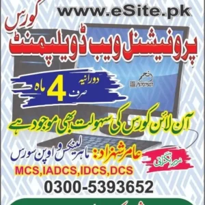 Web dev course banner