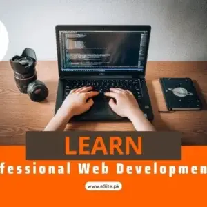 Learn Professional Web Development - CSS (Paid Course)