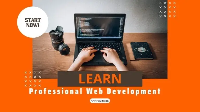Learn Professional Web Development - CSS (Paid Course)